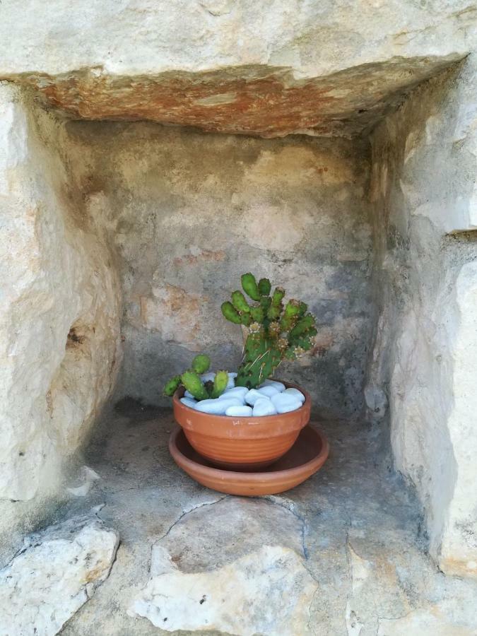 צ'לייה מספיקה Villa Degli Ulivi מראה חיצוני תמונה