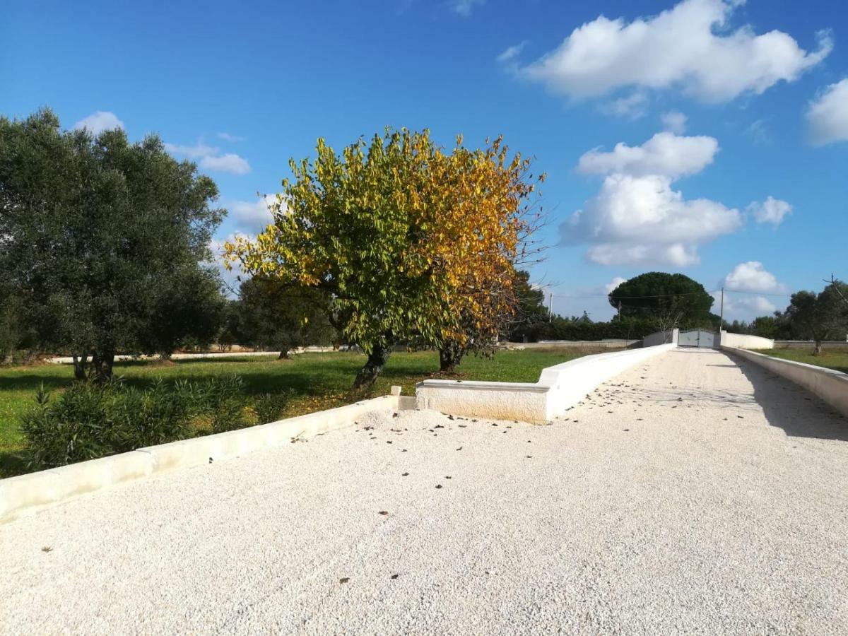 צ'לייה מספיקה Villa Degli Ulivi מראה חיצוני תמונה
