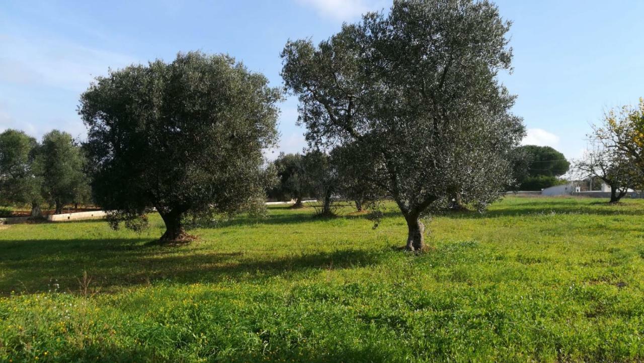 צ'לייה מספיקה Villa Degli Ulivi מראה חיצוני תמונה
